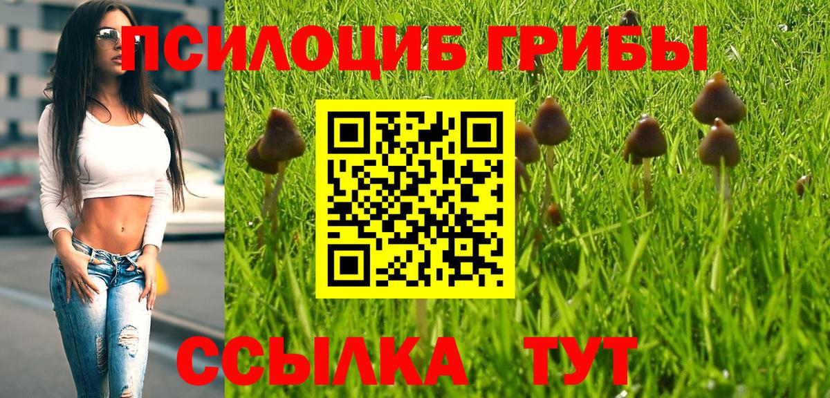 ГАШ Кохма