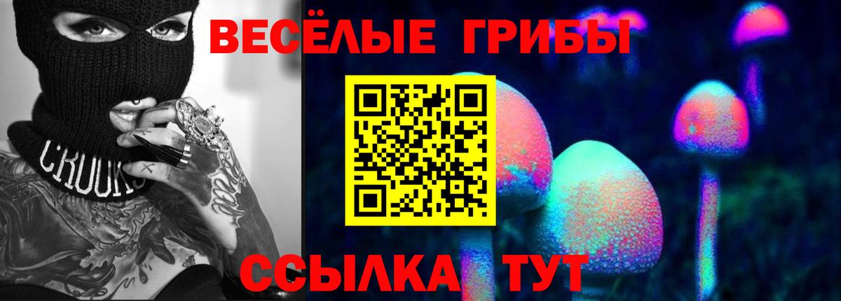 Кохма  Галлюциногенные грибы мицелий  Вход с VPN 